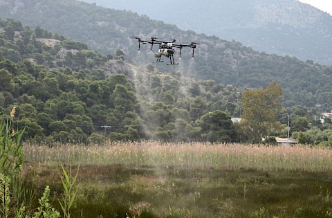 Συστηματικοί ψεκασμοί για την καταπολέμηση των κουνουπιών