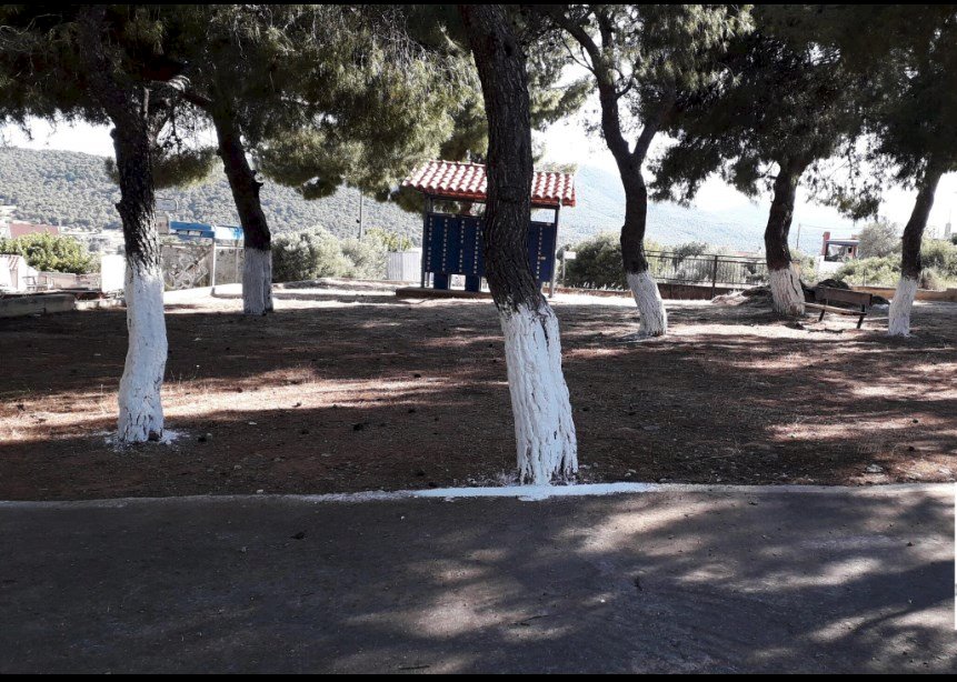 &Alpha;&nu;&alpha;&rho;&tau;ή&theta;&eta;&kappa;&epsilon; &tau;&omicron; &sigma;&chi;έ&delta;&iota;&omicron; &tau;&eta;&sigmaf; &Nu;έ&alpha;&sigmaf; &Zeta;&omega;ή&sigmaf; &sigma;&tau;&eta; &Delta;.&Epsilon;. &Mu;ά&nu;&delta;&rho;&alpha;&sigmaf;