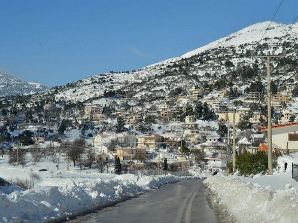 &Kappa;&lambda;&epsilon;&iota;&sigma;&tau;ά &tau;&alpha; &sigma;&chi;&omicron;&lambda;&epsilon;ί&alpha; &sigma;&epsilon; &Beta;ί&lambda;&iota;&alpha;, &Epsilon;&rho;&upsilon;&theta;&rho;έ&sigmaf; &kappa;&alpha;&iota; &tau;&eta;&nu; &Pi;&alpha;&rho;&alpha;&sigma;&kappa;&epsilon;&upsilon;ή 11/03/22 &lambda;ό&gamma;&omega; &tau;&eta;&sigmaf; &kappa;&alpha;&kappa;&omicron;&kappa;&alpha;&iota;&rho;ί&alpha;&sigmaf; &ndash; &Epsilon;&pi;ί &pi;&omicron;&delta;ό&sigmaf; &omicron;&iota; &Upsilon;&pi;&eta;&rho;&epsilon;&sigma;ί&epsilon;&sigmaf; &tau;&omicron;&upsilon; &Delta;ή&mu;&omicron;&upsilon;