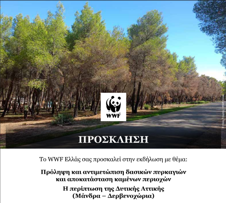 Το WWF σε συνεργασία με τον Δήμο Μάνδρας-Ειδυλλίας σας προσκαλούν στην εκδήλωση Πρόληψη και αντιμετώπιση δασικών πυρκαγιών και αποκατάσταση καμένων περιοχών Η περίπτωση της Δυτικής Αττικής (Μάνδρα – Δερβενοχώρια)