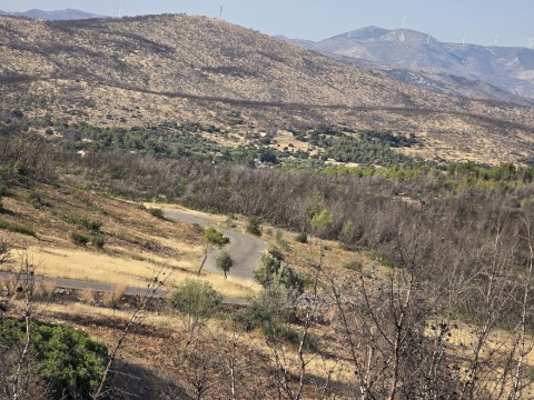 Εκτεταμένοι καθαρισμοί και αποκατάσταση καμένης βλάστησης από την περιοχή του Άη Γιάννη Κορακά έως το Μελετάκι – Θωράκιση της περιοχής ενόψει καλοκαιριού