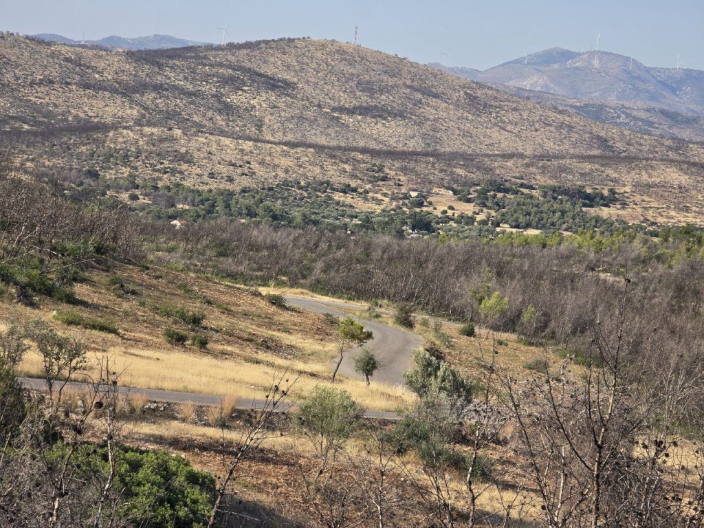 Εκτεταμένοι καθαρισμοί και αποκατάσταση καμένης βλάστησης από την περιοχή του Άη Γιάννη Κορακά έως το Μελετάκι – Θωράκιση της περιοχής ενόψει καλοκαιριού