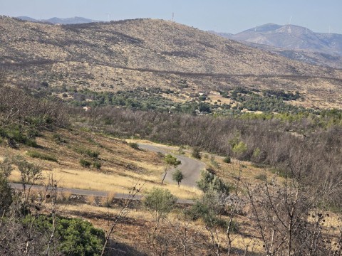 Εκτεταμένοι καθαρισμοί και αποκατάσταση καμένης βλάστησης από την περιοχή του Άη Γιάννη Κορακά έως το Μελετάκι – Θωράκιση της περιοχής ενόψει καλοκαιριού