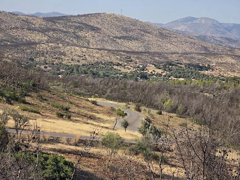 Εκτεταμένοι καθαρισμοί και αποκατάσταση καμένης βλάστησης από την περιοχή του Άη Γιάννη Κορακά έως το Μελετάκι – Θωράκιση της περιοχής ενόψει καλοκαιριού