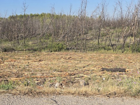 Εκτεταμένοι καθαρισμοί και αποκατάσταση καμένης βλάστησης από την περιοχή του Άη Γιάννη Κορακά έως το Μελετάκι – Θωράκιση της περιοχής ενόψει καλοκαιριού