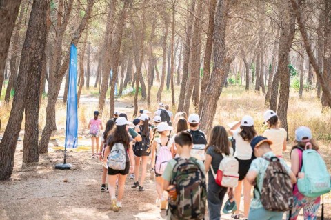 Ο Δήμος Μάνδρας – Ειδυλλίας τίμησε την Παγκόσμια Ημέρα Περιβάλλοντος με σειρά ουσιαστικών δράσεων για όλες τις ηλικίες