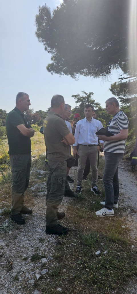 Υπόδειγμα θεσμικής ετοιμότητας και ευθύνης: Ο Δήμος Μάνδρας - Ειδυλλίας σε πλήρη κινητοποίηση για την άμεση κατάσβεση πυρκαγιάς στον Κιθαιρώνα – Νομική προσφυγή κατά ΔΕΗ και ΑΔΜΗΕ