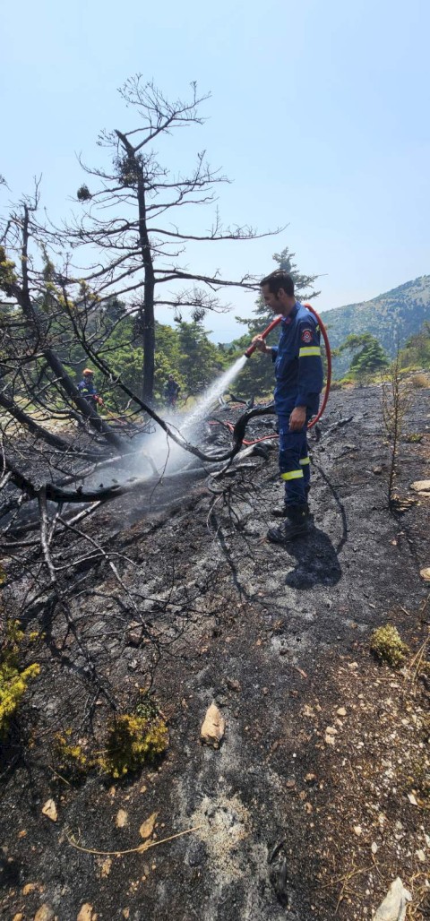 Υπόδειγμα θεσμικής ετοιμότητας και ευθύνης: Ο Δήμος Μάνδρας - Ειδυλλίας σε πλήρη κινητοποίηση για την άμεση κατάσβεση πυρκαγιάς στον Κιθαιρώνα – Νομική προσφυγή κατά ΔΕΗ και ΑΔΜΗΕ