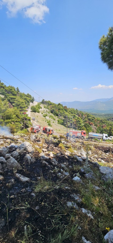 Υπόδειγμα θεσμικής ετοιμότητας και ευθύνης: Ο Δήμος Μάνδρας - Ειδυλλίας σε πλήρη κινητοποίηση για την άμεση κατάσβεση πυρκαγιάς στον Κιθαιρώνα – Νομική προσφυγή κατά ΔΕΗ και ΑΔΜΗΕ