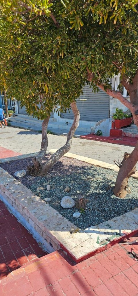 25 χρόνια εγκατάλειψης μετατρέπονται σε στολίδι – Το Πόρτο Γερμενό ξαναγεννιέται με την πρώτη παιδική χαρά, χώρους πρασίνου και νέο πάρκινγκ