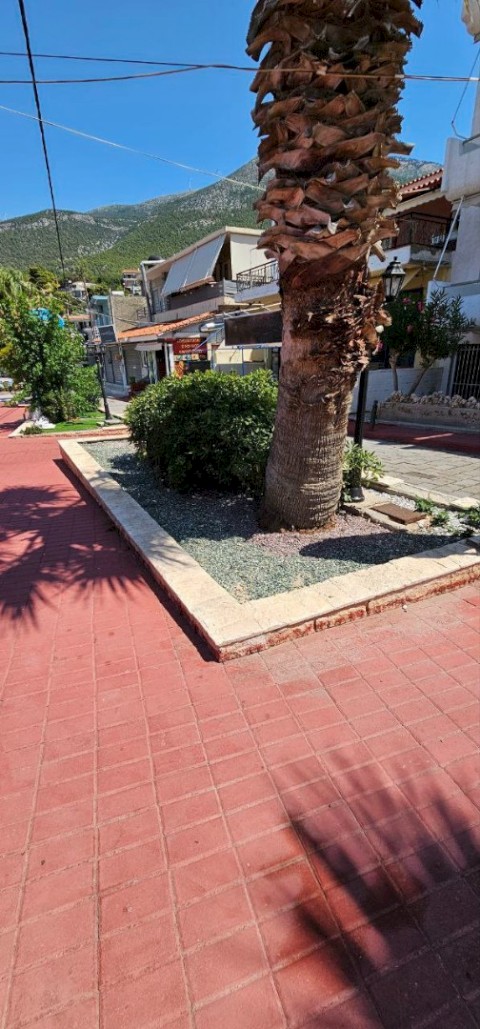 25 χρόνια εγκατάλειψης μετατρέπονται σε στολίδι – Το Πόρτο Γερμενό ξαναγεννιέται με την πρώτη παιδική χαρά, χώρους πρασίνου και νέο πάρκινγκ