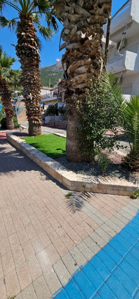 25 χρόνια εγκατάλειψης μετατρέπονται σε στολίδι – Το Πόρτο Γερμενό ξαναγεννιέται με την πρώτη παιδική χαρά, χώρους πρασίνου και νέο πάρκινγκ