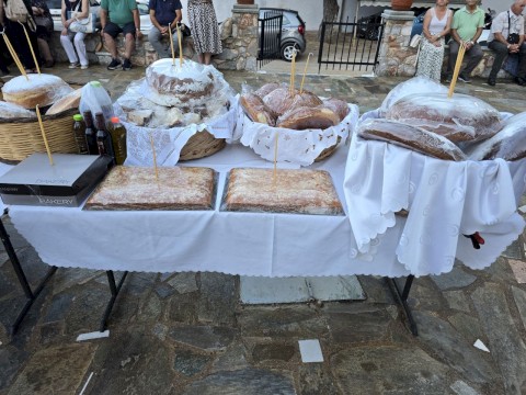 Με σεβασμό και ιερή κατάνυξη εορτάστηκε η Μεταμόρφωση του Σωτήρος – ως Πολιούχος των Βιλίων και Προστάτης της περιοχής της Αγίας Σωτήρας Μάνδρας