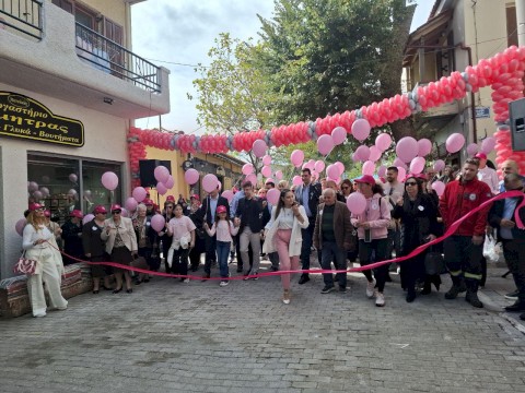 Το Κέντρο Ψυχοκοινωνικής Υποστήριξης “Έλλη Λαμπέτη” ανοίγει τις πόρτες του σε γυναίκες και άνδρες με καρκίνο του μαστού - Το όραμα του Δημάρχου Αρμόδιου Γ. Δρίκου γίνεται πραγματικότητα