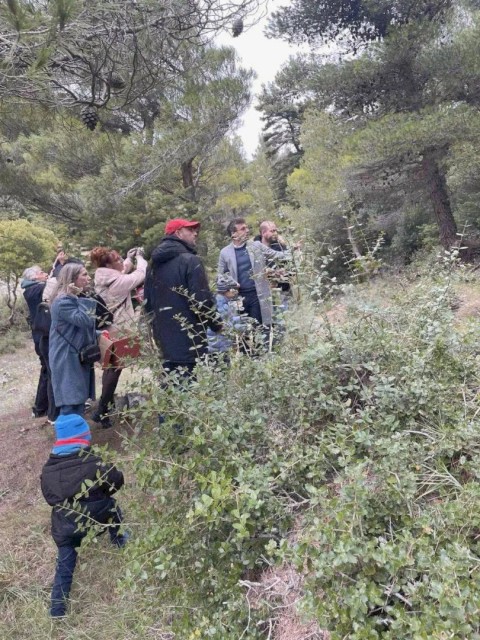 «Φόρεσε» τα γιορτινά του ο Δήμος-Μάνδρας-Ειδυλλίας -Χριστουγεννιάτικες εκδηλώσεις με μαζική συμμετοχή και έντονη πολιτιστική παρουσία