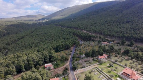 Ολική ασφαλτόστρωση 2.5 χιλιομέτρων στον οικισμό Αγίας Παρασκευής στο Κριεμάδι Βιλίων. Τέλος στην εγκατάλειψη: Τα έργα συνεχίζονται – 40 χρόνια μετά, νέα άσφαλτος στα Βίλια