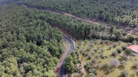 Ολική ασφαλτόστρωση 2.5 χιλιομέτρων στον οικισμό Αγίας Παρασκευής στο Κριεμάδι Βιλίων. Τέλος στην εγκατάλειψη: Τα έργα συνεχίζονται – 40 χρόνια μετά, νέα άσφαλτος στα Βίλια