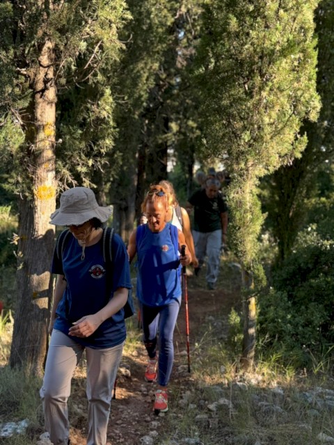 Στα μονοπάτια του Κιθαιρώνα: Μια ξεχωριστή πεζοπορική διαδρομή από τις Ερυθρές στα Βίλια