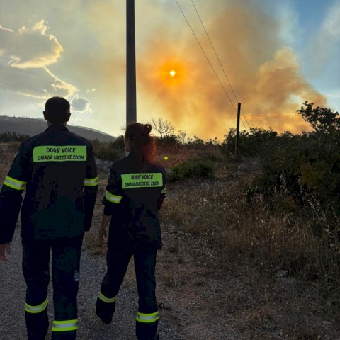 Οινόη: Η έγκαιρη κινητοποίηση κράτησε τη φωτιά έξω από τον οικισμό