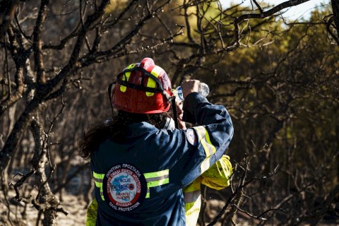 Οινόη: Η έγκαιρη κινητοποίηση κράτησε τη φωτιά έξω από τον οικισμό