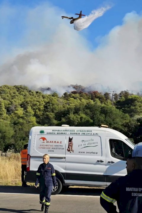 &Omicron;&iota;&nu;ό&eta;: &Eta; έ&gamma;&kappa;&alpha;&iota;&rho;&eta; &kappa;&iota;&nu;&eta;&tau;&omicron;&pi;&omicron;ί&eta;&sigma;&eta; &kappa;&rho;ά&tau;&eta;&sigma;&epsilon; &tau;&eta; &phi;&omega;&tau;&iota;ά έ&xi;&omega; &alpha;&pi;ό &tau;&omicron;&nu; &omicron;&iota;&kappa;&iota;&sigma;&mu;ό