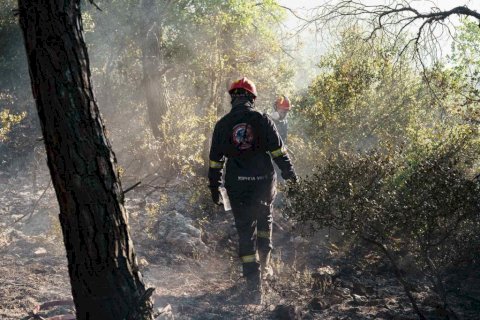 &Omicron;&iota;&nu;ό&eta;: &Eta; έ&gamma;&kappa;&alpha;&iota;&rho;&eta; &kappa;&iota;&nu;&eta;&tau;&omicron;&pi;&omicron;ί&eta;&sigma;&eta; &kappa;&rho;ά&tau;&eta;&sigma;&epsilon; &tau;&eta; &phi;&omega;&tau;&iota;ά έ&xi;&omega; &alpha;&pi;ό &tau;&omicron;&nu; &omicron;&iota;&kappa;&iota;&sigma;&mu;ό