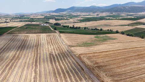&Mu;&epsilon; &pi;&alpha;&rho;έ&mu;&beta;&alpha;&sigma;&eta; &Alpha;&rho;&mu;ό&delta;&iota;&omicron;&upsilon; &Gamma;. &Delta;&rho;ί&kappa;&omicron;&upsilon;, &tau;έ&lambda;&omicron;&sigmaf; &sigma;&tau;&eta;&nu; &pi;&omicron;&lambda;&upsilon;&epsilon;&tau;ή &epsilon;&gamma;&kappa;&alpha;&tau;ά&lambda;&epsilon;&iota;&psi;&eta; &tau;&omicron;&upsilon; &alpha;&gamma;&rho;&omicron;&tau;&iota;&kappa;&omicron;ύ &delta;&iota;&kappa;&tau;ύ&omicron;&upsilon; &tau;&omega;&nu; &Epsilon;&rho;&upsilon;&theta;&rho;ώ&nu;