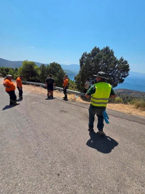 &Alpha;&pi;&omicron;&kappa;&alpha;&tau;&alpha;&sigma;&tau;ά&theta;&eta;&kappa;&epsilon; &eta; &kappa;&upsilon;&kappa;&lambda;&omicron;&phi;&omicron;&rho;ί&alpha; &sigma;&tau;&omicron;&nu; &delta;&rho;ό&mu;&omicron; &Beta;&iota;&lambda;ί&omega;&nu;&ndash;&Psi;ά&theta;&alpha;&sigmaf; &mu;&epsilon; &pi;&alpha;&rho;έ&mu;&beta;&alpha;&sigma;&eta; &tau;&omicron;&upsilon; &Delta;ή&mu;&omicron;&upsilon; &Mu;ά&nu;&delta;&rho;&alpha;&sigmaf;&ndash;&Epsilon;&iota;&delta;&upsilon;&lambda;&lambda;ί&alpha;&sigmaf;