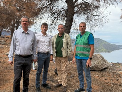 &Xi;&epsilon;&kappa;ί&nu;&eta;&sigma;&epsilon; &eta; &alpha;&nu;&tau;&iota;&pi;&lambda;&eta;&mu;&mu;&upsilon;&rho;&iota;&kappa;ή &kappa;&alpha;&iota; &alpha;&nu;&tau;&iota;&delta;&iota;&alpha;&beta;&rho;&omega;&tau;&iota;&kappa;ή &theta;&omega;&rho;ά&kappa;&iota;&sigma;&eta; &tau;&omicron;&upsilon; &Pi;ό&rho;&tau;&omicron; &Gamma;&epsilon;&rho;&mu;&epsilon;&nu;&omicron;ύ