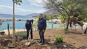 Πόρτο Γερμενό από την δέσμευση στην πράξη: Ξεκίνησαν οι δεντροφυτεύσεις από τη δημοτική αρχή του Αρμοδίου Γ. Δρίκου