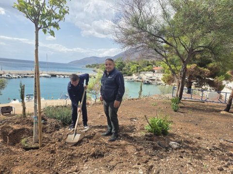 &Pi;ό&rho;&tau;&omicron; &Gamma;&epsilon;&rho;&mu;&epsilon;&nu;ό &alpha;&pi;ό &tau;&eta;&nu; &delta;έ&sigma;&mu;&epsilon;&upsilon;&sigma;&eta; &sigma;&tau;&eta;&nu; &pi;&rho;ά&xi;&eta;: &Xi;&epsilon;&kappa;ί&nu;&eta;&sigma;&alpha;&nu; &omicron;&iota; &delta;&epsilon;&nu;&tau;&rho;&omicron;&phi;&upsilon;&tau;&epsilon;ύ&sigma;&epsilon;&iota;&sigmaf; &alpha;&pi;ό &tau;&eta; &delta;&eta;&mu;&omicron;&tau;&iota;&kappa;ή &alpha;&rho;&chi;ή &tau;&omicron;&upsilon; &Alpha;&rho;&mu;&omicron;&delta;ί&omicron;&upsilon; &Gamma;. &Delta;&rho;ί&kappa;&omicron;&upsilon;