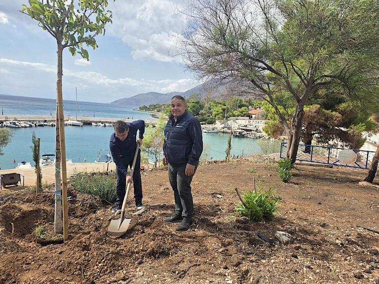 &Pi;ό&rho;&tau;&omicron; &Gamma;&epsilon;&rho;&mu;&epsilon;&nu;ό &alpha;&pi;ό &tau;&eta;&nu; &delta;έ&sigma;&mu;&epsilon;&upsilon;&sigma;&eta; &sigma;&tau;&eta;&nu; &pi;&rho;ά&xi;&eta;: &Xi;&epsilon;&kappa;ί&nu;&eta;&sigma;&alpha;&nu; &omicron;&iota; &delta;&epsilon;&nu;&tau;&rho;&omicron;&phi;&upsilon;&tau;&epsilon;ύ&sigma;&epsilon;&iota;&sigmaf; &alpha;&pi;ό &tau;&eta; &delta;&eta;&mu;&omicron;&tau;&iota;&kappa;ή &alpha;&rho;&chi;ή &tau;&omicron;&upsilon; &Alpha;&rho;&mu;&omicron;&delta;ί&omicron;&upsilon; &Gamma;. &Delta;&rho;ί&kappa;&omicron;&upsilon;